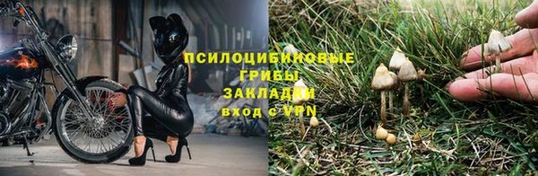 2c-b Баксан