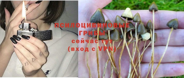 ALPHA-PVP Арсеньев