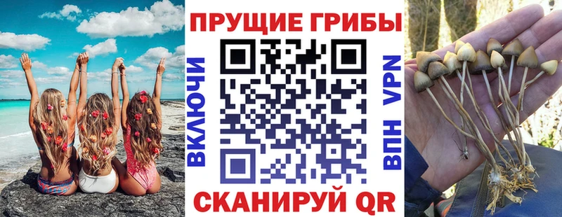 Галлюциногенные грибы мухоморы  блэк спрут рабочий сайт  Теберда 